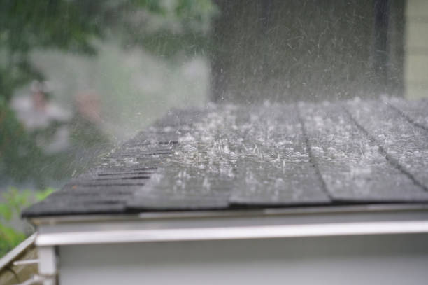 Best Gutter Installation and Repair  in Latimer, MS